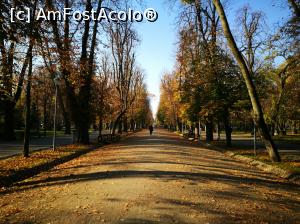 [P07] Parcul Central la orele dimineții » foto by crismis
 - 
<span class="allrVoted glyphicon glyphicon-heart hidden" id="av1030413"></span>
<a class="m-l-10 hidden" id="sv1030413" onclick="voting_Foto_DelVot(,1030413,3623)" role="button">șterge vot <span class="glyphicon glyphicon-remove"></span></a>
<a id="v91030413" class=" c-red"  onclick="voting_Foto_SetVot(1030413)" role="button"><span class="glyphicon glyphicon-heart-empty"></span> <b>LIKE</b> = Votează poza</a> <img class="hidden"  id="f1030413W9" src="/imagini/loader.gif" border="0" /><span class="AjErrMes hidden" id="e1030413ErM"></span>