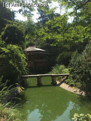 [P11] Grădina Japoneză » foto by Yersinia Pestis
 - 
<span class="allrVoted glyphicon glyphicon-heart hidden" id="av900761"></span>
<a class="m-l-10 hidden" id="sv900761" onclick="voting_Foto_DelVot(,900761,3623)" role="button">șterge vot <span class="glyphicon glyphicon-remove"></span></a>
<a id="v9900761" class=" c-red"  onclick="voting_Foto_SetVot(900761)" role="button"><span class="glyphicon glyphicon-heart-empty"></span> <b>LIKE</b> = Votează poza</a> <img class="hidden"  id="f900761W9" src="/imagini/loader.gif" border="0" /><span class="AjErrMes hidden" id="e900761ErM"></span>