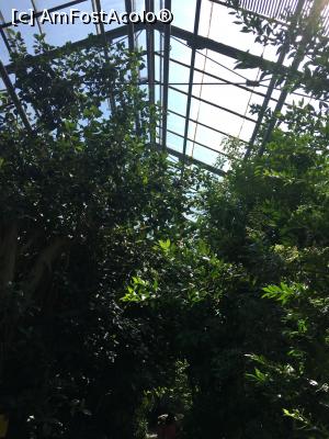 [P12] Sera palmierilor » foto by Yersinia Pestis
 - 
<span class="allrVoted glyphicon glyphicon-heart hidden" id="av900762"></span>
<a class="m-l-10 hidden" id="sv900762" onclick="voting_Foto_DelVot(,900762,3623)" role="button">șterge vot <span class="glyphicon glyphicon-remove"></span></a>
<a id="v9900762" class=" c-red"  onclick="voting_Foto_SetVot(900762)" role="button"><span class="glyphicon glyphicon-heart-empty"></span> <b>LIKE</b> = Votează poza</a> <img class="hidden"  id="f900762W9" src="/imagini/loader.gif" border="0" /><span class="AjErrMes hidden" id="e900762ErM"></span>