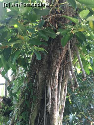 [P13] Sera » foto by Yersinia Pestis
 - 
<span class="allrVoted glyphicon glyphicon-heart hidden" id="av900763"></span>
<a class="m-l-10 hidden" id="sv900763" onclick="voting_Foto_DelVot(,900763,3623)" role="button">șterge vot <span class="glyphicon glyphicon-remove"></span></a>
<a id="v9900763" class=" c-red"  onclick="voting_Foto_SetVot(900763)" role="button"><span class="glyphicon glyphicon-heart-empty"></span> <b>LIKE</b> = Votează poza</a> <img class="hidden"  id="f900763W9" src="/imagini/loader.gif" border="0" /><span class="AjErrMes hidden" id="e900763ErM"></span>