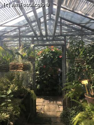 [P14] plante din seră » foto by Yersinia Pestis
 - 
<span class="allrVoted glyphicon glyphicon-heart hidden" id="av900764"></span>
<a class="m-l-10 hidden" id="sv900764" onclick="voting_Foto_DelVot(,900764,3623)" role="button">șterge vot <span class="glyphicon glyphicon-remove"></span></a>
<a id="v9900764" class=" c-red"  onclick="voting_Foto_SetVot(900764)" role="button"><span class="glyphicon glyphicon-heart-empty"></span> <b>LIKE</b> = Votează poza</a> <img class="hidden"  id="f900764W9" src="/imagini/loader.gif" border="0" /><span class="AjErrMes hidden" id="e900764ErM"></span>