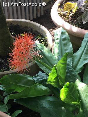 [P17] Și, nici asta!  » foto by Yersinia Pestis
 - 
<span class="allrVoted glyphicon glyphicon-heart hidden" id="av900767"></span>
<a class="m-l-10 hidden" id="sv900767" onclick="voting_Foto_DelVot(,900767,3623)" role="button">șterge vot <span class="glyphicon glyphicon-remove"></span></a>
<a id="v9900767" class=" c-red"  onclick="voting_Foto_SetVot(900767)" role="button"><span class="glyphicon glyphicon-heart-empty"></span> <b>LIKE</b> = Votează poza</a> <img class="hidden"  id="f900767W9" src="/imagini/loader.gif" border="0" /><span class="AjErrMes hidden" id="e900767ErM"></span>