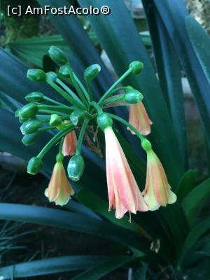 [P18] Sau, asta!  » foto by Yersinia Pestis
 - 
<span class="allrVoted glyphicon glyphicon-heart hidden" id="av900768"></span>
<a class="m-l-10 hidden" id="sv900768" onclick="voting_Foto_DelVot(,900768,3623)" role="button">șterge vot <span class="glyphicon glyphicon-remove"></span></a>
<a id="v9900768" class=" c-red"  onclick="voting_Foto_SetVot(900768)" role="button"><span class="glyphicon glyphicon-heart-empty"></span> <b>LIKE</b> = Votează poza</a> <img class="hidden"  id="f900768W9" src="/imagini/loader.gif" border="0" /><span class="AjErrMes hidden" id="e900768ErM"></span>