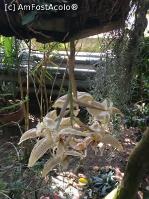 [P19] Dar, sunt frumoase!  » foto by Yersinia Pestis
 - 
<span class="allrVoted glyphicon glyphicon-heart hidden" id="av900769"></span>
<a class="m-l-10 hidden" id="sv900769" onclick="voting_Foto_DelVot(,900769,3623)" role="button">șterge vot <span class="glyphicon glyphicon-remove"></span></a>
<a id="v9900769" class=" c-red"  onclick="voting_Foto_SetVot(900769)" role="button"><span class="glyphicon glyphicon-heart-empty"></span> <b>LIKE</b> = Votează poza</a> <img class="hidden"  id="f900769W9" src="/imagini/loader.gif" border="0" /><span class="AjErrMes hidden" id="e900769ErM"></span>