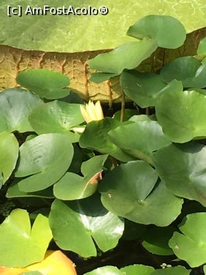 [P22] Galbeni » foto by Yersinia Pestis
 - 
<span class="allrVoted glyphicon glyphicon-heart hidden" id="av900772"></span>
<a class="m-l-10 hidden" id="sv900772" onclick="voting_Foto_DelVot(,900772,3623)" role="button">șterge vot <span class="glyphicon glyphicon-remove"></span></a>
<a id="v9900772" class=" c-red"  onclick="voting_Foto_SetVot(900772)" role="button"><span class="glyphicon glyphicon-heart-empty"></span> <b>LIKE</b> = Votează poza</a> <img class="hidden"  id="f900772W9" src="/imagini/loader.gif" border="0" /><span class="AjErrMes hidden" id="e900772ErM"></span>