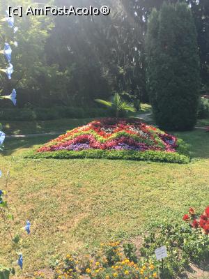 [P03] Grădina Botanică Cluj Napoca » foto by Yersinia Pestis
 - 
<span class="allrVoted glyphicon glyphicon-heart hidden" id="av900753"></span>
<a class="m-l-10 hidden" id="sv900753" onclick="voting_Foto_DelVot(,900753,3623)" role="button">șterge vot <span class="glyphicon glyphicon-remove"></span></a>
<a id="v9900753" class=" c-red"  onclick="voting_Foto_SetVot(900753)" role="button"><span class="glyphicon glyphicon-heart-empty"></span> <b>LIKE</b> = Votează poza</a> <img class="hidden"  id="f900753W9" src="/imagini/loader.gif" border="0" /><span class="AjErrMes hidden" id="e900753ErM"></span>