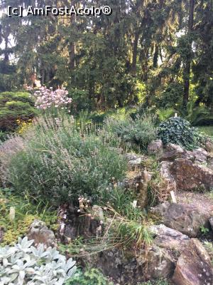 [P05] Grădina Botanică » foto by Yersinia Pestis
 - 
<span class="allrVoted glyphicon glyphicon-heart hidden" id="av900755"></span>
<a class="m-l-10 hidden" id="sv900755" onclick="voting_Foto_DelVot(,900755,3623)" role="button">șterge vot <span class="glyphicon glyphicon-remove"></span></a>
<a id="v9900755" class=" c-red"  onclick="voting_Foto_SetVot(900755)" role="button"><span class="glyphicon glyphicon-heart-empty"></span> <b>LIKE</b> = Votează poza</a> <img class="hidden"  id="f900755W9" src="/imagini/loader.gif" border="0" /><span class="AjErrMes hidden" id="e900755ErM"></span>