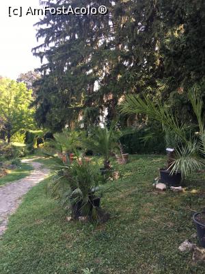 [P06] Alee prin Grădina Botanică » foto by Yersinia Pestis
 - 
<span class="allrVoted glyphicon glyphicon-heart hidden" id="av900756"></span>
<a class="m-l-10 hidden" id="sv900756" onclick="voting_Foto_DelVot(,900756,3623)" role="button">șterge vot <span class="glyphicon glyphicon-remove"></span></a>
<a id="v9900756" class=" c-red"  onclick="voting_Foto_SetVot(900756)" role="button"><span class="glyphicon glyphicon-heart-empty"></span> <b>LIKE</b> = Votează poza</a> <img class="hidden"  id="f900756W9" src="/imagini/loader.gif" border="0" /><span class="AjErrMes hidden" id="e900756ErM"></span>