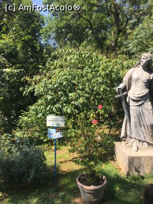 [P09] Flora Americii de Nord » foto by Yersinia Pestis
 - 
<span class="allrVoted glyphicon glyphicon-heart hidden" id="av900759"></span>
<a class="m-l-10 hidden" id="sv900759" onclick="voting_Foto_DelVot(,900759,3623)" role="button">șterge vot <span class="glyphicon glyphicon-remove"></span></a>
<a id="v9900759" class=" c-red"  onclick="voting_Foto_SetVot(900759)" role="button"><span class="glyphicon glyphicon-heart-empty"></span> <b>LIKE</b> = Votează poza</a> <img class="hidden"  id="f900759W9" src="/imagini/loader.gif" border="0" /><span class="AjErrMes hidden" id="e900759ErM"></span>