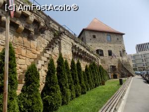 [P07]  -- <small>// FĂRĂ DESCRIERE</small> » foto by spirid72
 - 
<span class="allrVoted glyphicon glyphicon-heart hidden" id="av833242"></span>
<a class="m-l-10 hidden" id="sv833242" onclick="voting_Foto_DelVot(,833242,3623)" role="button">șterge vot <span class="glyphicon glyphicon-remove"></span></a>
<a id="v9833242" class=" c-red"  onclick="voting_Foto_SetVot(833242)" role="button"><span class="glyphicon glyphicon-heart-empty"></span> <b>LIKE</b> = Votează poza</a> <img class="hidden"  id="f833242W9" src="/imagini/loader.gif" border="0" /><span class="AjErrMes hidden" id="e833242ErM"></span>