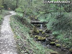 [P12] Cluj - Gradina Botanica » foto by dannaa
 - 
<span class="allrVoted glyphicon glyphicon-heart hidden" id="av611684"></span>
<a class="m-l-10 hidden" id="sv611684" onclick="voting_Foto_DelVot(,611684,3623)" role="button">șterge vot <span class="glyphicon glyphicon-remove"></span></a>
<a id="v9611684" class=" c-red"  onclick="voting_Foto_SetVot(611684)" role="button"><span class="glyphicon glyphicon-heart-empty"></span> <b>LIKE</b> = Votează poza</a> <img class="hidden"  id="f611684W9" src="/imagini/loader.gif" border="0" /><span class="AjErrMes hidden" id="e611684ErM"></span>