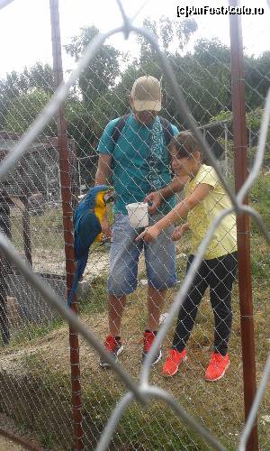 [P02] la gradina zoologica » foto by anabella1
 - 
<span class="allrVoted glyphicon glyphicon-heart hidden" id="av660428"></span>
<a class="m-l-10 hidden" id="sv660428" onclick="voting_Foto_DelVot(,660428,3623)" role="button">șterge vot <span class="glyphicon glyphicon-remove"></span></a>
<a id="v9660428" class=" c-red"  onclick="voting_Foto_SetVot(660428)" role="button"><span class="glyphicon glyphicon-heart-empty"></span> <b>LIKE</b> = Votează poza</a> <img class="hidden"  id="f660428W9" src="/imagini/loader.gif" border="0" /><span class="AjErrMes hidden" id="e660428ErM"></span>