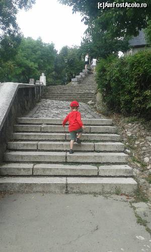 [P07] la hotel Belvedere » foto by anabella1
 - 
<span class="allrVoted glyphicon glyphicon-heart hidden" id="av660433"></span>
<a class="m-l-10 hidden" id="sv660433" onclick="voting_Foto_DelVot(,660433,3623)" role="button">șterge vot <span class="glyphicon glyphicon-remove"></span></a>
<a id="v9660433" class=" c-red"  onclick="voting_Foto_SetVot(660433)" role="button"><span class="glyphicon glyphicon-heart-empty"></span> <b>LIKE</b> = Votează poza</a> <img class="hidden"  id="f660433W9" src="/imagini/loader.gif" border="0" /><span class="AjErrMes hidden" id="e660433ErM"></span>