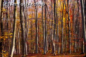 [P07] important e să vă îndepărtaţi de gălăgia oraşului » foto by Maya_C
 - 
<span class="allrVoted glyphicon glyphicon-heart hidden" id="av849026"></span>
<a class="m-l-10 hidden" id="sv849026" onclick="voting_Foto_DelVot(,849026,3623)" role="button">șterge vot <span class="glyphicon glyphicon-remove"></span></a>
<a id="v9849026" class=" c-red"  onclick="voting_Foto_SetVot(849026)" role="button"><span class="glyphicon glyphicon-heart-empty"></span> <b>LIKE</b> = Votează poza</a> <img class="hidden"  id="f849026W9" src="/imagini/loader.gif" border="0" /><span class="AjErrMes hidden" id="e849026ErM"></span>