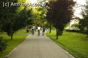 [P12]  -- <small>// FĂRĂ DESCRIERE</small> » foto by Maya_C
 - 
<span class="allrVoted glyphicon glyphicon-heart hidden" id="av853753"></span>
<a class="m-l-10 hidden" id="sv853753" onclick="voting_Foto_DelVot(,853753,3623)" role="button">șterge vot <span class="glyphicon glyphicon-remove"></span></a>
<a id="v9853753" class=" c-red"  onclick="voting_Foto_SetVot(853753)" role="button"><span class="glyphicon glyphicon-heart-empty"></span> <b>LIKE</b> = Votează poza</a> <img class="hidden"  id="f853753W9" src="/imagini/loader.gif" border="0" /><span class="AjErrMes hidden" id="e853753ErM"></span>