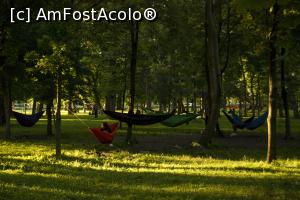 [P17] si hamaceala.  » foto by Maya_C
 - 
<span class="allrVoted glyphicon glyphicon-heart hidden" id="av853758"></span>
<a class="m-l-10 hidden" id="sv853758" onclick="voting_Foto_DelVot(,853758,3623)" role="button">șterge vot <span class="glyphicon glyphicon-remove"></span></a>
<a id="v9853758" class=" c-red"  onclick="voting_Foto_SetVot(853758)" role="button"><span class="glyphicon glyphicon-heart-empty"></span> <b>LIKE</b> = Votează poza</a> <img class="hidden"  id="f853758W9" src="/imagini/loader.gif" border="0" /><span class="AjErrMes hidden" id="e853758ErM"></span>