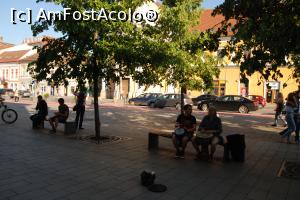 [P08]  -- <small>// FĂRĂ DESCRIERE</small> » foto by Maya_C
 - 
<span class="allrVoted glyphicon glyphicon-heart hidden" id="av853749"></span>
<a class="m-l-10 hidden" id="sv853749" onclick="voting_Foto_DelVot(,853749,3623)" role="button">șterge vot <span class="glyphicon glyphicon-remove"></span></a>
<a id="v9853749" class=" c-red"  onclick="voting_Foto_SetVot(853749)" role="button"><span class="glyphicon glyphicon-heart-empty"></span> <b>LIKE</b> = Votează poza</a> <img class="hidden"  id="f853749W9" src="/imagini/loader.gif" border="0" /><span class="AjErrMes hidden" id="e853749ErM"></span>