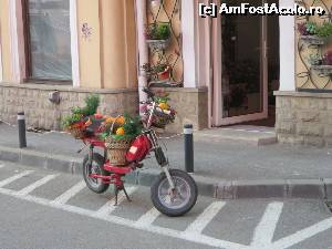 [P20] Peisaj... de Cluj » foto by tata123 🔱
 - 
<span class="allrVoted glyphicon glyphicon-heart hidden" id="av579079"></span>
<a class="m-l-10 hidden" id="sv579079" onclick="voting_Foto_DelVot(,579079,3623)" role="button">șterge vot <span class="glyphicon glyphicon-remove"></span></a>
<a id="v9579079" class=" c-red"  onclick="voting_Foto_SetVot(579079)" role="button"><span class="glyphicon glyphicon-heart-empty"></span> <b>LIKE</b> = Votează poza</a> <img class="hidden"  id="f579079W9" src="/imagini/loader.gif" border="0" /><span class="AjErrMes hidden" id="e579079ErM"></span>