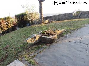 [P21] Crocodili... de Cluj.  » foto by tata123 🔱
 - 
<span class="allrVoted glyphicon glyphicon-heart hidden" id="av579080"></span>
<a class="m-l-10 hidden" id="sv579080" onclick="voting_Foto_DelVot(,579080,3623)" role="button">șterge vot <span class="glyphicon glyphicon-remove"></span></a>
<a id="v9579080" class=" c-red"  onclick="voting_Foto_SetVot(579080)" role="button"><span class="glyphicon glyphicon-heart-empty"></span> <b>LIKE</b> = Votează poza</a> <img class="hidden"  id="f579080W9" src="/imagini/loader.gif" border="0" /><span class="AjErrMes hidden" id="e579080ErM"></span>