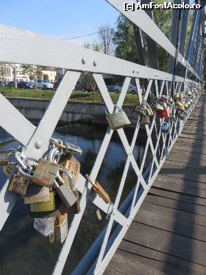 [P20] Podul cu lacăte peste Someș, lângă Teatrul Maghiar.  » foto by tata123 🔱
 - 
<span class="allrVoted glyphicon glyphicon-heart hidden" id="av590574"></span>
<a class="m-l-10 hidden" id="sv590574" onclick="voting_Foto_DelVot(,590574,3623)" role="button">șterge vot <span class="glyphicon glyphicon-remove"></span></a>
<a id="v9590574" class=" c-red"  onclick="voting_Foto_SetVot(590574)" role="button"><span class="glyphicon glyphicon-heart-empty"></span> <b>LIKE</b> = Votează poza</a> <img class="hidden"  id="f590574W9" src="/imagini/loader.gif" border="0" /><span class="AjErrMes hidden" id="e590574ErM"></span>