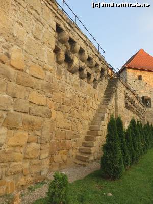 [P08] Zid și scară de acces spre metereze - Turnul Croitorilor - Cluj.  » foto by tata123 🔱
 - 
<span class="allrVoted glyphicon glyphicon-heart hidden" id="av590562"></span>
<a class="m-l-10 hidden" id="sv590562" onclick="voting_Foto_DelVot(,590562,3623)" role="button">șterge vot <span class="glyphicon glyphicon-remove"></span></a>
<a id="v9590562" class=" c-red"  onclick="voting_Foto_SetVot(590562)" role="button"><span class="glyphicon glyphicon-heart-empty"></span> <b>LIKE</b> = Votează poza</a> <img class="hidden"  id="f590562W9" src="/imagini/loader.gif" border="0" /><span class="AjErrMes hidden" id="e590562ErM"></span>