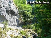 [P05] Intrarea in Cheile Corcoaia » foto by ascent
 - 
<span class="allrVoted glyphicon glyphicon-heart hidden" id="av91531"></span>
<a class="m-l-10 hidden" id="sv91531" onclick="voting_Foto_DelVot(,91531,3645)" role="button">șterge vot <span class="glyphicon glyphicon-remove"></span></a>
<a id="v991531" class=" c-red"  onclick="voting_Foto_SetVot(91531)" role="button"><span class="glyphicon glyphicon-heart-empty"></span> <b>LIKE</b> = Votează poza</a> <img class="hidden"  id="f91531W9" src="/imagini/loader.gif" border="0" /><span class="AjErrMes hidden" id="e91531ErM"></span>