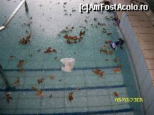 [P02] Piscina exterioara,inghetata » foto by suiram1970
 - 
<span class="allrVoted glyphicon glyphicon-heart hidden" id="av293295"></span>
<a class="m-l-10 hidden" id="sv293295" onclick="voting_Foto_DelVot(,293295,3648)" role="button">șterge vot <span class="glyphicon glyphicon-remove"></span></a>
<a id="v9293295" class=" c-red"  onclick="voting_Foto_SetVot(293295)" role="button"><span class="glyphicon glyphicon-heart-empty"></span> <b>LIKE</b> = Votează poza</a> <img class="hidden"  id="f293295W9" src="/imagini/loader.gif" border="0" /><span class="AjErrMes hidden" id="e293295ErM"></span>