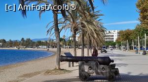 [P15] Rosas, tunurile » foto by Yolanda
 - 
<span class="allrVoted glyphicon glyphicon-heart hidden" id="av1515982"></span>
<a class="m-l-10 hidden" id="sv1515982" onclick="voting_Foto_DelVot(,1515982,3651)" role="button">șterge vot <span class="glyphicon glyphicon-remove"></span></a>
<a id="v91515982" class=" c-red"  onclick="voting_Foto_SetVot(1515982)" role="button"><span class="glyphicon glyphicon-heart-empty"></span> <b>LIKE</b> = Votează poza</a> <img class="hidden"  id="f1515982W9" src="/imagini/loader.gif" border="0" /><span class="AjErrMes hidden" id="e1515982ErM"></span>