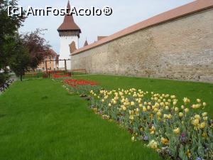 [P03] Mediaş-Micul parc lângă Bastionul Blănarilor » foto by ANILU
 - 
<span class="allrVoted glyphicon glyphicon-heart hidden" id="av849388"></span>
<a class="m-l-10 hidden" id="sv849388" onclick="voting_Foto_DelVot(,849388,3668)" role="button">șterge vot <span class="glyphicon glyphicon-remove"></span></a>
<a id="v9849388" class=" c-red"  onclick="voting_Foto_SetVot(849388)" role="button"><span class="glyphicon glyphicon-heart-empty"></span> <b>LIKE</b> = Votează poza</a> <img class="hidden"  id="f849388W9" src="/imagini/loader.gif" border="0" /><span class="AjErrMes hidden" id="e849388ErM"></span>
