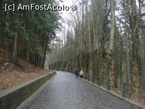 [P06] La pas pe aleea pietruită către frumosul Castel Peleș.  » foto by Floryn81
 - 
<span class="allrVoted glyphicon glyphicon-heart hidden" id="av970349"></span>
<a class="m-l-10 hidden" id="sv970349" onclick="voting_Foto_DelVot(,970349,3677)" role="button">șterge vot <span class="glyphicon glyphicon-remove"></span></a>
<a id="v9970349" class=" c-red"  onclick="voting_Foto_SetVot(970349)" role="button"><span class="glyphicon glyphicon-heart-empty"></span> <b>LIKE</b> = Votează poza</a> <img class="hidden"  id="f970349W9" src="/imagini/loader.gif" border="0" /><span class="AjErrMes hidden" id="e970349ErM"></span>