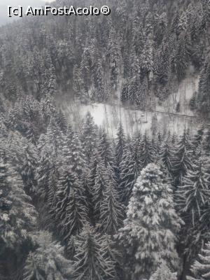 [P61]  -- <small>// FĂRĂ DESCRIERE</small> » foto by adryana
 - 
<span class="allrVoted glyphicon glyphicon-heart hidden" id="av953818"></span>
<a class="m-l-10 hidden" id="sv953818" onclick="voting_Foto_DelVot(,953818,3677)" role="button">șterge vot <span class="glyphicon glyphicon-remove"></span></a>
<a id="v9953818" class=" c-red"  onclick="voting_Foto_SetVot(953818)" role="button"><span class="glyphicon glyphicon-heart-empty"></span> <b>LIKE</b> = Votează poza</a> <img class="hidden"  id="f953818W9" src="/imagini/loader.gif" border="0" /><span class="AjErrMes hidden" id="e953818ErM"></span>