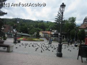 [P14] Platforma cu porumbei » foto by Michi
 - 
<span class="allrVoted glyphicon glyphicon-heart hidden" id="av1102690"></span>
<a class="m-l-10 hidden" id="sv1102690" onclick="voting_Foto_DelVot(,1102690,3677)" role="button">șterge vot <span class="glyphicon glyphicon-remove"></span></a>
<a id="v91102690" class=" c-red"  onclick="voting_Foto_SetVot(1102690)" role="button"><span class="glyphicon glyphicon-heart-empty"></span> <b>LIKE</b> = Votează poza</a> <img class="hidden"  id="f1102690W9" src="/imagini/loader.gif" border="0" /><span class="AjErrMes hidden" id="e1102690ErM"></span>