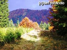 [P18] Frumoasa poiana din Plaiul lui Mos Mihai » foto by Lumis66
 - 
<span class="allrVoted glyphicon glyphicon-heart hidden" id="av268875"></span>
<a class="m-l-10 hidden" id="sv268875" onclick="voting_Foto_DelVot(,268875,3678)" role="button">șterge vot <span class="glyphicon glyphicon-remove"></span></a>
<a id="v9268875" class=" c-red"  onclick="voting_Foto_SetVot(268875)" role="button"><span class="glyphicon glyphicon-heart-empty"></span> <b>LIKE</b> = Votează poza</a> <img class="hidden"  id="f268875W9" src="/imagini/loader.gif" border="0" /><span class="AjErrMes hidden" id="e268875ErM"></span>