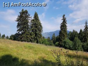 [P02] Înainte de a intra în pădure, admirăm munții din jur. » foto by Floryn81
 - 
<span class="allrVoted glyphicon glyphicon-heart hidden" id="av1177400"></span>
<a class="m-l-10 hidden" id="sv1177400" onclick="voting_Foto_DelVot(,1177400,3678)" role="button">șterge vot <span class="glyphicon glyphicon-remove"></span></a>
<a id="v91177400" class=" c-red"  onclick="voting_Foto_SetVot(1177400)" role="button"><span class="glyphicon glyphicon-heart-empty"></span> <b>LIKE</b> = Votează poza</a> <img class="hidden"  id="f1177400W9" src="/imagini/loader.gif" border="0" /><span class="AjErrMes hidden" id="e1177400ErM"></span>