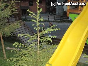 [P12] Tiroliană în spatele toboganelor la Evergreen » foto by arru
 - 
<span class="allrVoted glyphicon glyphicon-heart hidden" id="av442196"></span>
<a class="m-l-10 hidden" id="sv442196" onclick="voting_Foto_DelVot(,442196,3678)" role="button">șterge vot <span class="glyphicon glyphicon-remove"></span></a>
<a id="v9442196" class=" c-red"  onclick="voting_Foto_SetVot(442196)" role="button"><span class="glyphicon glyphicon-heart-empty"></span> <b>LIKE</b> = Votează poza</a> <img class="hidden"  id="f442196W9" src="/imagini/loader.gif" border="0" /><span class="AjErrMes hidden" id="e442196ErM"></span>