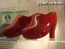 [P37] rosii si cu toc ! » foto by a.sr*
 - 
<span class="allrVoted glyphicon glyphicon-heart hidden" id="av271724"></span>
<a class="m-l-10 hidden" id="sv271724" onclick="voting_Foto_DelVot(,271724,3710)" role="button">șterge vot <span class="glyphicon glyphicon-remove"></span></a>
<a id="v9271724" class=" c-red"  onclick="voting_Foto_SetVot(271724)" role="button"><span class="glyphicon glyphicon-heart-empty"></span> <b>LIKE</b> = Votează poza</a> <img class="hidden"  id="f271724W9" src="/imagini/loader.gif" border="0" /><span class="AjErrMes hidden" id="e271724ErM"></span>