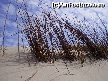 [P10] nature's simple beauty.. » foto by roxana.tomina
 - 
<span class="allrVoted glyphicon glyphicon-heart hidden" id="av316029"></span>
<a class="m-l-10 hidden" id="sv316029" onclick="voting_Foto_DelVot(,316029,3710)" role="button">șterge vot <span class="glyphicon glyphicon-remove"></span></a>
<a id="v9316029" class=" c-red"  onclick="voting_Foto_SetVot(316029)" role="button"><span class="glyphicon glyphicon-heart-empty"></span> <b>LIKE</b> = Votează poza</a> <img class="hidden"  id="f316029W9" src="/imagini/loader.gif" border="0" /><span class="AjErrMes hidden" id="e316029ErM"></span>