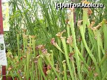 [P13] Mama natura e prietena noastra » foto by mireille
 - 
<span class="allrVoted glyphicon glyphicon-heart hidden" id="av414212"></span>
<a class="m-l-10 hidden" id="sv414212" onclick="voting_Foto_DelVot(,414212,3710)" role="button">șterge vot <span class="glyphicon glyphicon-remove"></span></a>
<a id="v9414212" class=" c-red"  onclick="voting_Foto_SetVot(414212)" role="button"><span class="glyphicon glyphicon-heart-empty"></span> <b>LIKE</b> = Votează poza</a> <img class="hidden"  id="f414212W9" src="/imagini/loader.gif" border="0" /><span class="AjErrMes hidden" id="e414212ErM"></span>