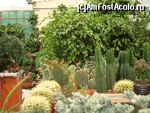 [P15] Desert cu tepi » foto by mireille
 - 
<span class="allrVoted glyphicon glyphicon-heart hidden" id="av414214"></span>
<a class="m-l-10 hidden" id="sv414214" onclick="voting_Foto_DelVot(,414214,3710)" role="button">șterge vot <span class="glyphicon glyphicon-remove"></span></a>
<a id="v9414214" class=" c-red"  onclick="voting_Foto_SetVot(414214)" role="button"><span class="glyphicon glyphicon-heart-empty"></span> <b>LIKE</b> = Votează poza</a> <img class="hidden"  id="f414214W9" src="/imagini/loader.gif" border="0" /><span class="AjErrMes hidden" id="e414214ErM"></span>