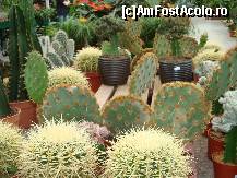 [P17] To market, to market » foto by mireille
 - 
<span class="allrVoted glyphicon glyphicon-heart hidden" id="av414216"></span>
<a class="m-l-10 hidden" id="sv414216" onclick="voting_Foto_DelVot(,414216,3710)" role="button">șterge vot <span class="glyphicon glyphicon-remove"></span></a>
<a id="v9414216" class=" c-red"  onclick="voting_Foto_SetVot(414216)" role="button"><span class="glyphicon glyphicon-heart-empty"></span> <b>LIKE</b> = Votează poza</a> <img class="hidden"  id="f414216W9" src="/imagini/loader.gif" border="0" /><span class="AjErrMes hidden" id="e414216ErM"></span>