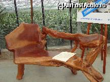 [P18] Gradina taiwaneza-banca din lemn » foto by mireille
 - 
<span class="allrVoted glyphicon glyphicon-heart hidden" id="av414217"></span>
<a class="m-l-10 hidden" id="sv414217" onclick="voting_Foto_DelVot(,414217,3710)" role="button">șterge vot <span class="glyphicon glyphicon-remove"></span></a>
<a id="v9414217" class=" c-red"  onclick="voting_Foto_SetVot(414217)" role="button"><span class="glyphicon glyphicon-heart-empty"></span> <b>LIKE</b> = Votează poza</a> <img class="hidden"  id="f414217W9" src="/imagini/loader.gif" border="0" /><span class="AjErrMes hidden" id="e414217ErM"></span>