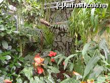 [P20] Franturi de padure tropicala » foto by mireille
 - 
<span class="allrVoted glyphicon glyphicon-heart hidden" id="av414219"></span>
<a class="m-l-10 hidden" id="sv414219" onclick="voting_Foto_DelVot(,414219,3710)" role="button">șterge vot <span class="glyphicon glyphicon-remove"></span></a>
<a id="v9414219" class=" c-red"  onclick="voting_Foto_SetVot(414219)" role="button"><span class="glyphicon glyphicon-heart-empty"></span> <b>LIKE</b> = Votează poza</a> <img class="hidden"  id="f414219W9" src="/imagini/loader.gif" border="0" /><span class="AjErrMes hidden" id="e414219ErM"></span>