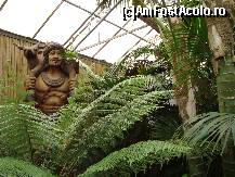 [P22] Razboinic din malaezia » foto by mireille
 - 
<span class="allrVoted glyphicon glyphicon-heart hidden" id="av414221"></span>
<a class="m-l-10 hidden" id="sv414221" onclick="voting_Foto_DelVot(,414221,3710)" role="button">șterge vot <span class="glyphicon glyphicon-remove"></span></a>
<a id="v9414221" class=" c-red"  onclick="voting_Foto_SetVot(414221)" role="button"><span class="glyphicon glyphicon-heart-empty"></span> <b>LIKE</b> = Votează poza</a> <img class="hidden"  id="f414221W9" src="/imagini/loader.gif" border="0" /><span class="AjErrMes hidden" id="e414221ErM"></span>