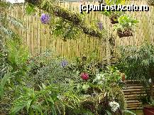 [P24] Aranjamente florale deosebite » foto by mireille
 - 
<span class="allrVoted glyphicon glyphicon-heart hidden" id="av414223"></span>
<a class="m-l-10 hidden" id="sv414223" onclick="voting_Foto_DelVot(,414223,3710)" role="button">șterge vot <span class="glyphicon glyphicon-remove"></span></a>
<a id="v9414223" class=" c-red"  onclick="voting_Foto_SetVot(414223)" role="button"><span class="glyphicon glyphicon-heart-empty"></span> <b>LIKE</b> = Votează poza</a> <img class="hidden"  id="f414223W9" src="/imagini/loader.gif" border="0" /><span class="AjErrMes hidden" id="e414223ErM"></span>