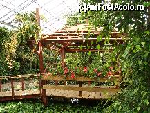 [P25] Casuta de lemn in gradina Malaeziana » foto by mireille
 - 
<span class="allrVoted glyphicon glyphicon-heart hidden" id="av414224"></span>
<a class="m-l-10 hidden" id="sv414224" onclick="voting_Foto_DelVot(,414224,3710)" role="button">șterge vot <span class="glyphicon glyphicon-remove"></span></a>
<a id="v9414224" class=" c-red"  onclick="voting_Foto_SetVot(414224)" role="button"><span class="glyphicon glyphicon-heart-empty"></span> <b>LIKE</b> = Votează poza</a> <img class="hidden"  id="f414224W9" src="/imagini/loader.gif" border="0" /><span class="AjErrMes hidden" id="e414224ErM"></span>