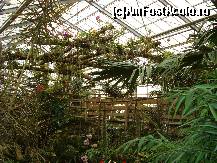 [P27] imagini ce amintesc de jungla » foto by mireille
 - 
<span class="allrVoted glyphicon glyphicon-heart hidden" id="av414226"></span>
<a class="m-l-10 hidden" id="sv414226" onclick="voting_Foto_DelVot(,414226,3710)" role="button">șterge vot <span class="glyphicon glyphicon-remove"></span></a>
<a id="v9414226" class=" c-red"  onclick="voting_Foto_SetVot(414226)" role="button"><span class="glyphicon glyphicon-heart-empty"></span> <b>LIKE</b> = Votează poza</a> <img class="hidden"  id="f414226W9" src="/imagini/loader.gif" border="0" /><span class="AjErrMes hidden" id="e414226ErM"></span>