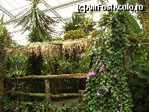 [P29] podete de lemn in gradina » foto by mireille
 - 
<span class="allrVoted glyphicon glyphicon-heart hidden" id="av414228"></span>
<a class="m-l-10 hidden" id="sv414228" onclick="voting_Foto_DelVot(,414228,3710)" role="button">șterge vot <span class="glyphicon glyphicon-remove"></span></a>
<a id="v9414228" class=" c-red"  onclick="voting_Foto_SetVot(414228)" role="button"><span class="glyphicon glyphicon-heart-empty"></span> <b>LIKE</b> = Votează poza</a> <img class="hidden"  id="f414228W9" src="/imagini/loader.gif" border="0" /><span class="AjErrMes hidden" id="e414228ErM"></span>