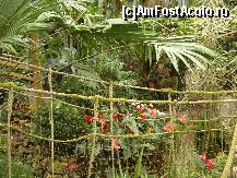 [P32] gard deosebit » foto by mireille
 - 
<span class="allrVoted glyphicon glyphicon-heart hidden" id="av414231"></span>
<a class="m-l-10 hidden" id="sv414231" onclick="voting_Foto_DelVot(,414231,3710)" role="button">șterge vot <span class="glyphicon glyphicon-remove"></span></a>
<a id="v9414231" class=" c-red"  onclick="voting_Foto_SetVot(414231)" role="button"><span class="glyphicon glyphicon-heart-empty"></span> <b>LIKE</b> = Votează poza</a> <img class="hidden"  id="f414231W9" src="/imagini/loader.gif" border="0" /><span class="AjErrMes hidden" id="e414231ErM"></span>