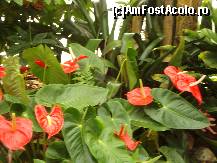 [P35] splendoare intre copaci » foto by mireille
 - 
<span class="allrVoted glyphicon glyphicon-heart hidden" id="av414234"></span>
<a class="m-l-10 hidden" id="sv414234" onclick="voting_Foto_DelVot(,414234,3710)" role="button">șterge vot <span class="glyphicon glyphicon-remove"></span></a>
<a id="v9414234" class=" c-red"  onclick="voting_Foto_SetVot(414234)" role="button"><span class="glyphicon glyphicon-heart-empty"></span> <b>LIKE</b> = Votează poza</a> <img class="hidden"  id="f414234W9" src="/imagini/loader.gif" border="0" /><span class="AjErrMes hidden" id="e414234ErM"></span>