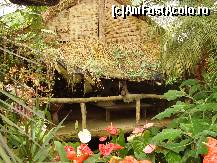 [P38] alte case in paradisul floral » foto by mireille
 - 
<span class="allrVoted glyphicon glyphicon-heart hidden" id="av414237"></span>
<a class="m-l-10 hidden" id="sv414237" onclick="voting_Foto_DelVot(,414237,3710)" role="button">șterge vot <span class="glyphicon glyphicon-remove"></span></a>
<a id="v9414237" class=" c-red"  onclick="voting_Foto_SetVot(414237)" role="button"><span class="glyphicon glyphicon-heart-empty"></span> <b>LIKE</b> = Votează poza</a> <img class="hidden"  id="f414237W9" src="/imagini/loader.gif" border="0" /><span class="AjErrMes hidden" id="e414237ErM"></span>